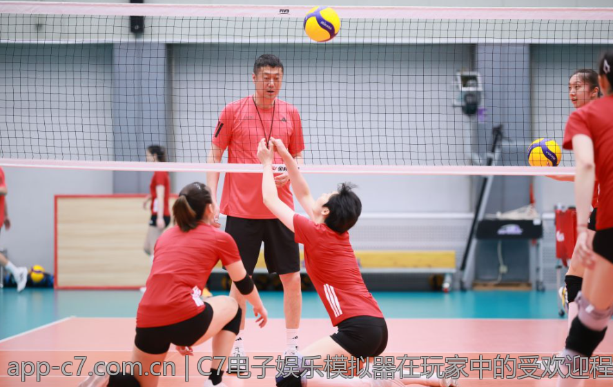 C7电子娱乐模拟器在玩家中的受欢迎程度