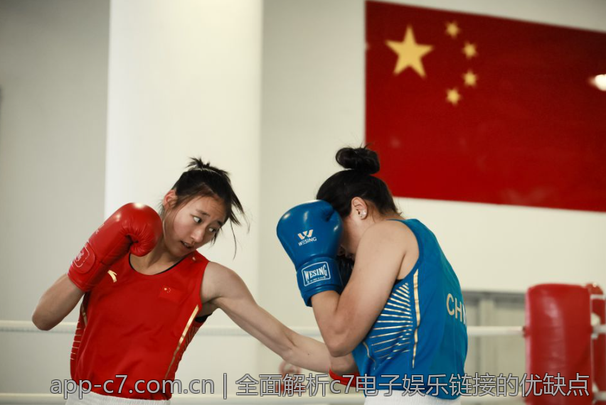 全面解析c7电子娱乐链接的优缺点